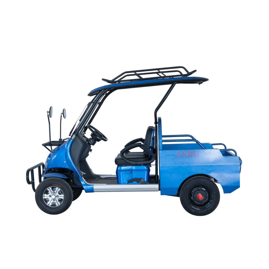 New Energy 2 Seater Electric Golf Cars Cargo Customized Motor Lead-Acid Battery