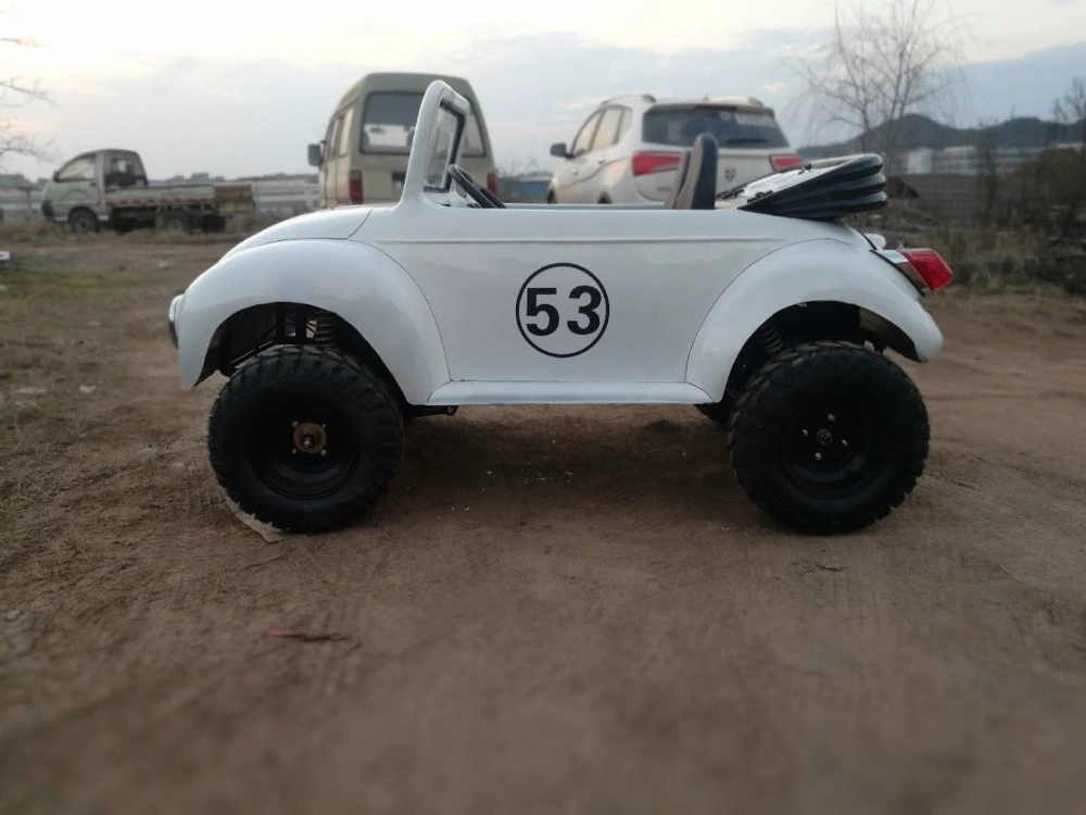 Su Yang Youth Chinese Mini Beetle 150cc ATV for Sale