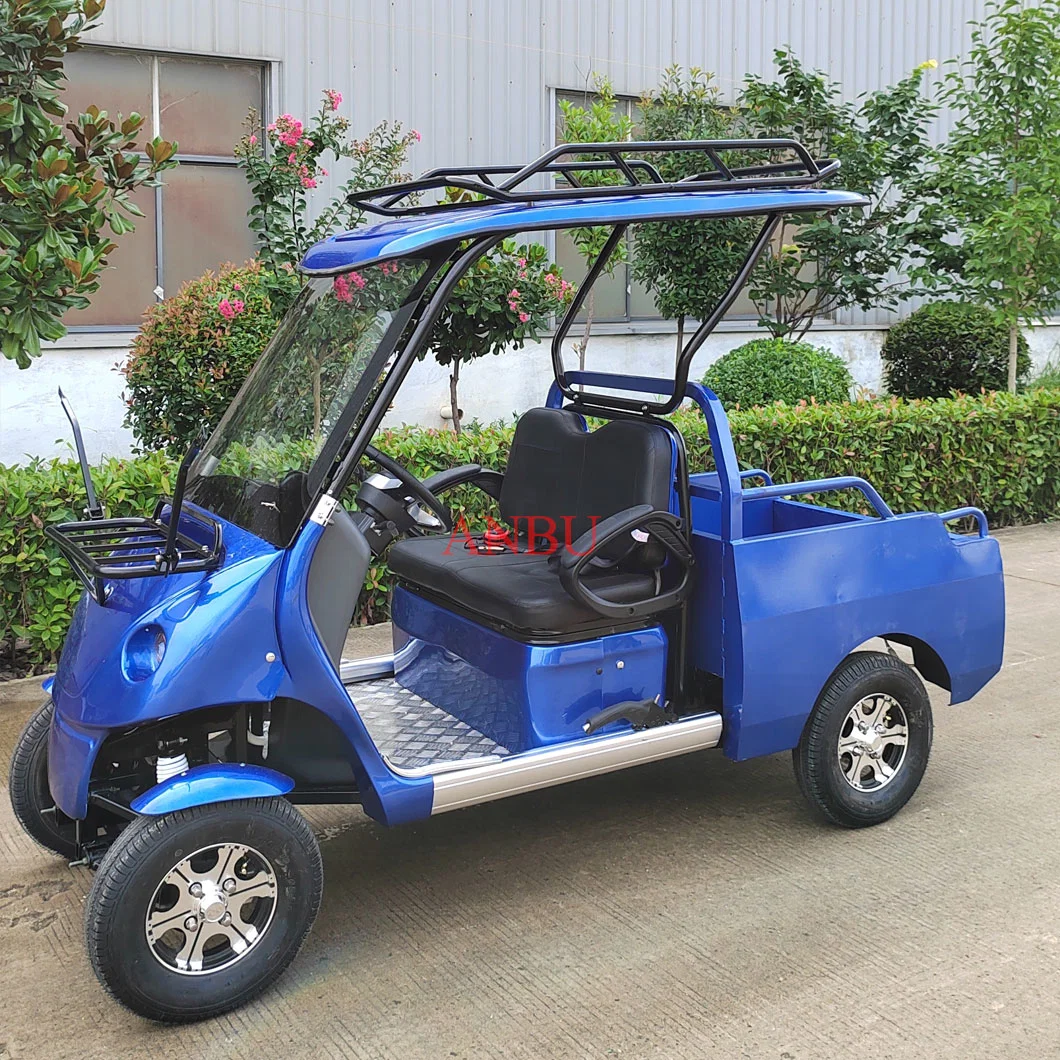 New Energy 2 Seater Electric Golf Cars Cargo Customized Motor Lead-Acid Battery