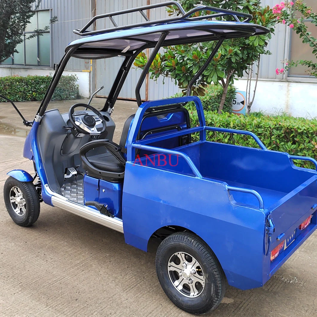 New Energy 2 Seater Electric Golf Cars Cargo Customized Motor Lead-Acid Battery