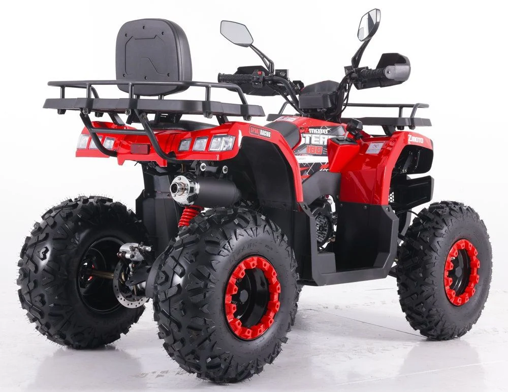 Tao Motor 2024 New Design Automatic Farm ATV Quad Bike 200cc ATV