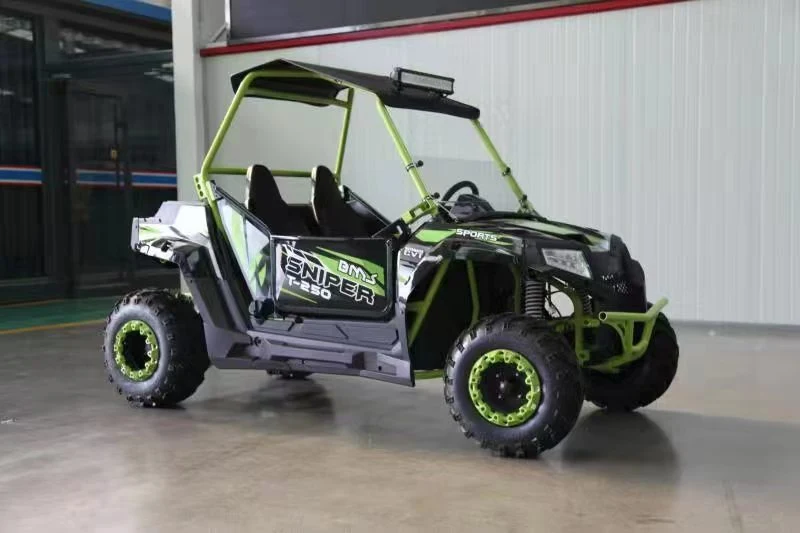 Adult off Road Hunting Buggy 4X4 1000cc Utility Vehicle ATV UTV