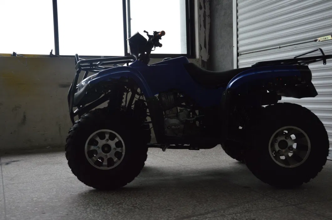 250cc 300cc Adult 4X4 ATV Quad