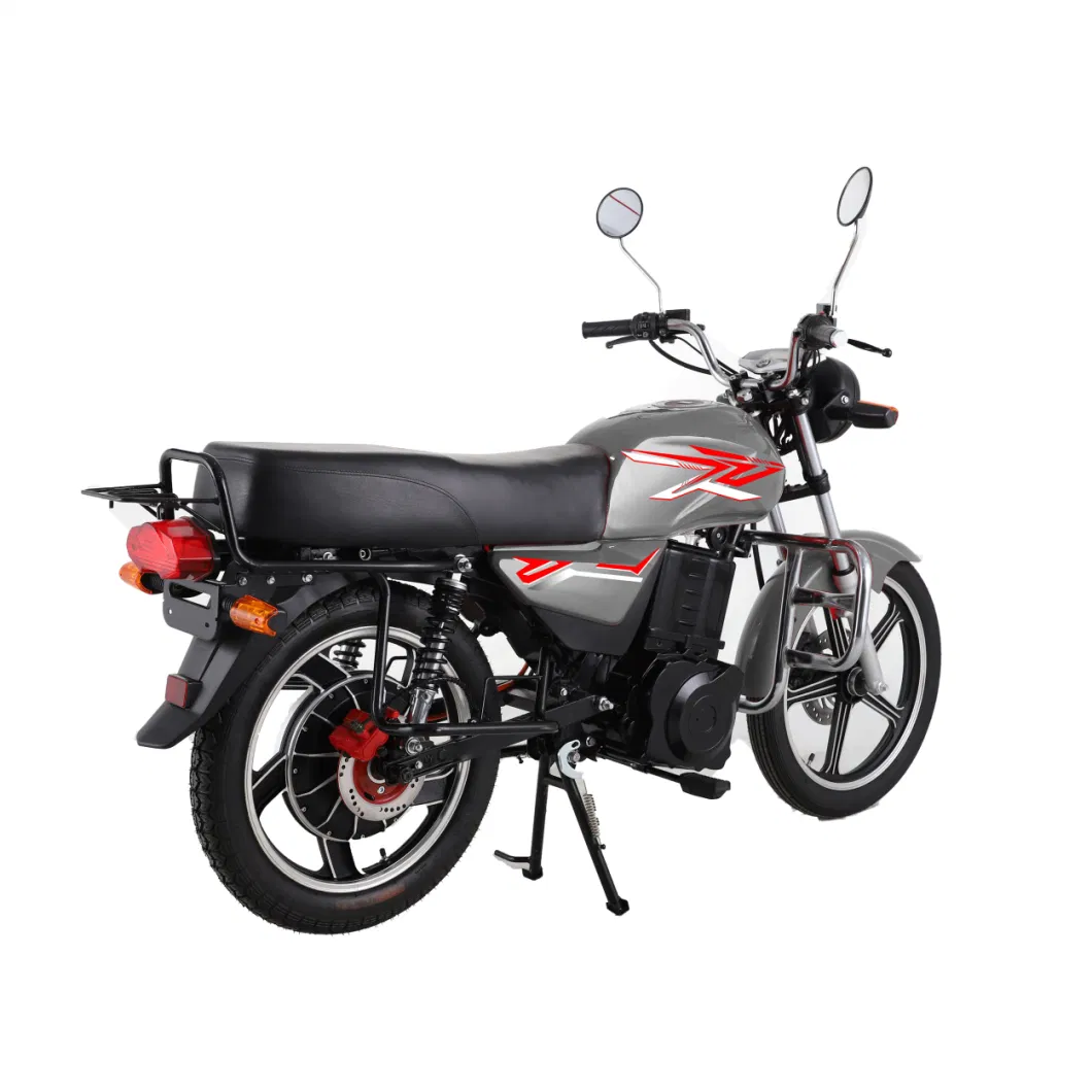 2000W City Cruise Adult Electric Motorcycle with High Endurance 55km/H