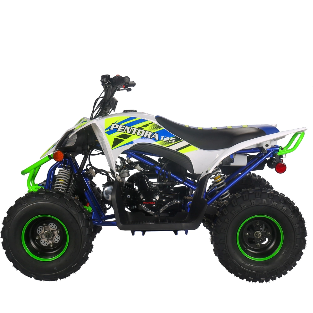 125cc Automatic Reverse CE Electric Sports ATV Quad Bikes