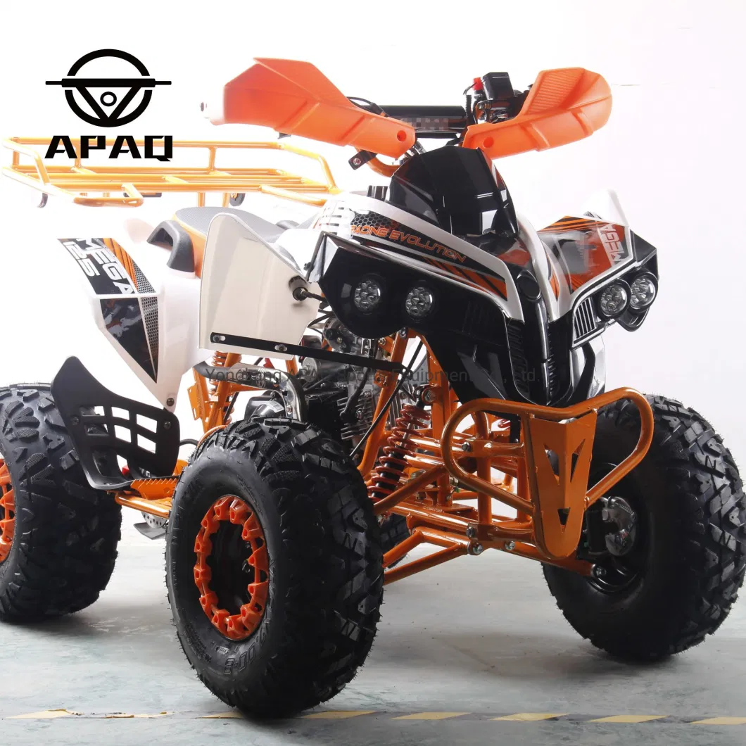 4 Wheel 125cc Quad Bike Cycle 110cc ATV for Sale