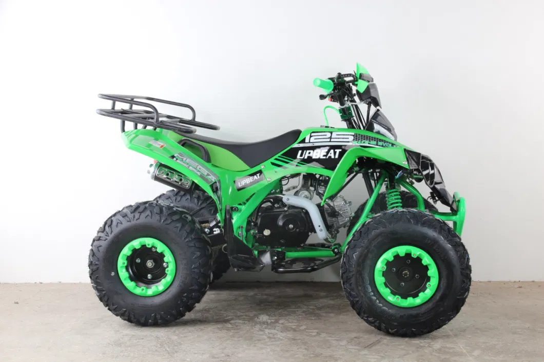 110cc/125cc ATV Quad Bike Hot Sales