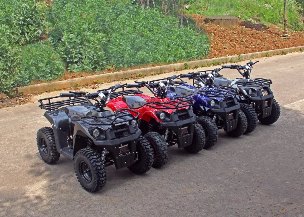 Newest Mini 48V 1000W Electric ATV for Kids