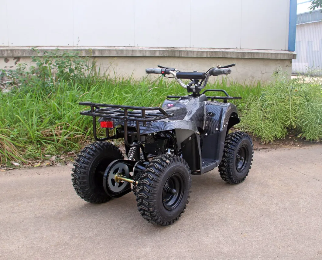 Newest Mini 48V 1000W Electric ATV for Kids