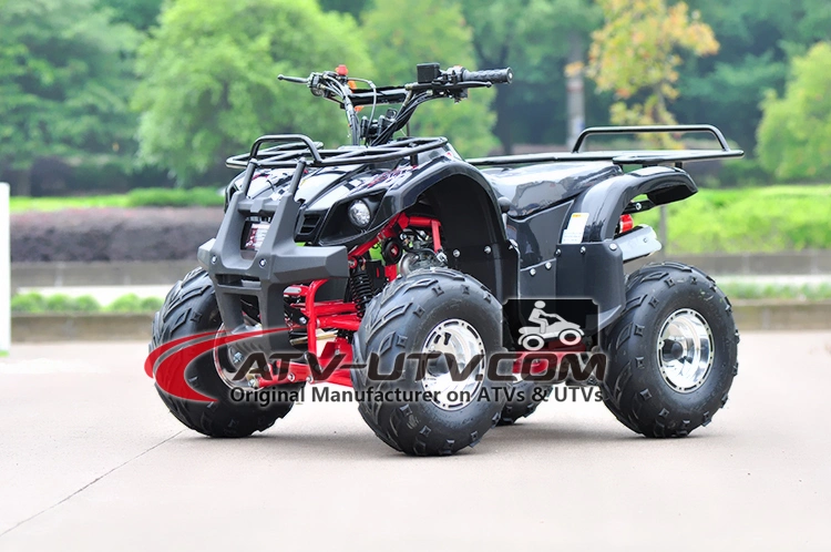 Street Legal 110cc 125cc 200cc 250cc Atvs Quad for Adults