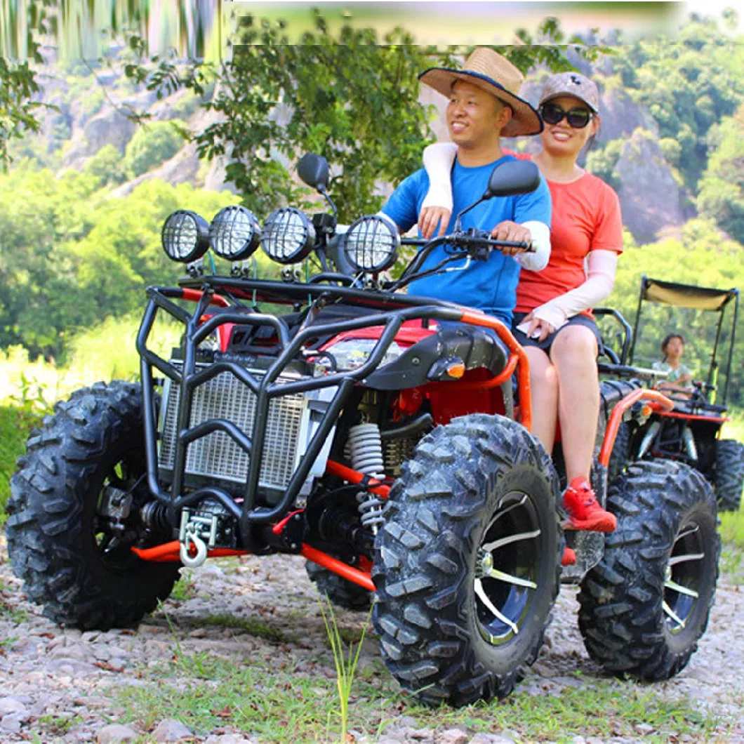 Adults 250cc 300cc 4X4 off-Road All-Terrain Vehicle Cruiser Dune Buggy Motorcycle Quad Bike ATV