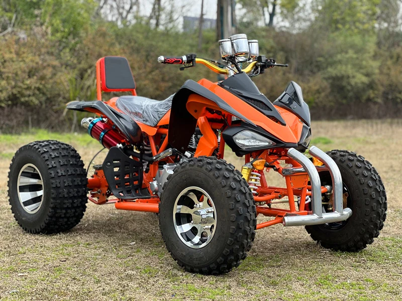 Big Tyre 250cc ATV Bike 4 Wheeler ATV Quad for Adults