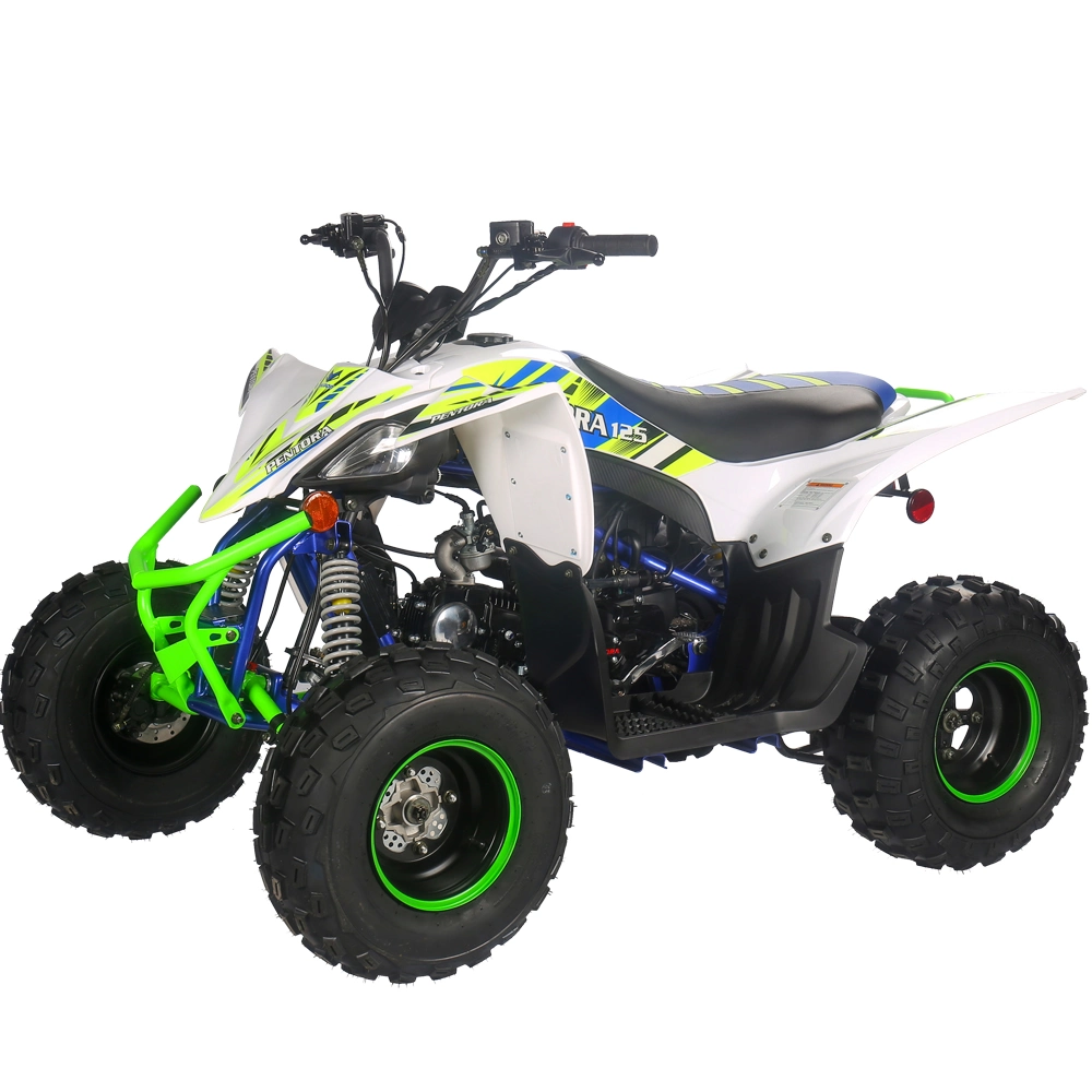 Kids Electric Start Ride on Quad Children 4 Wheeler ATV