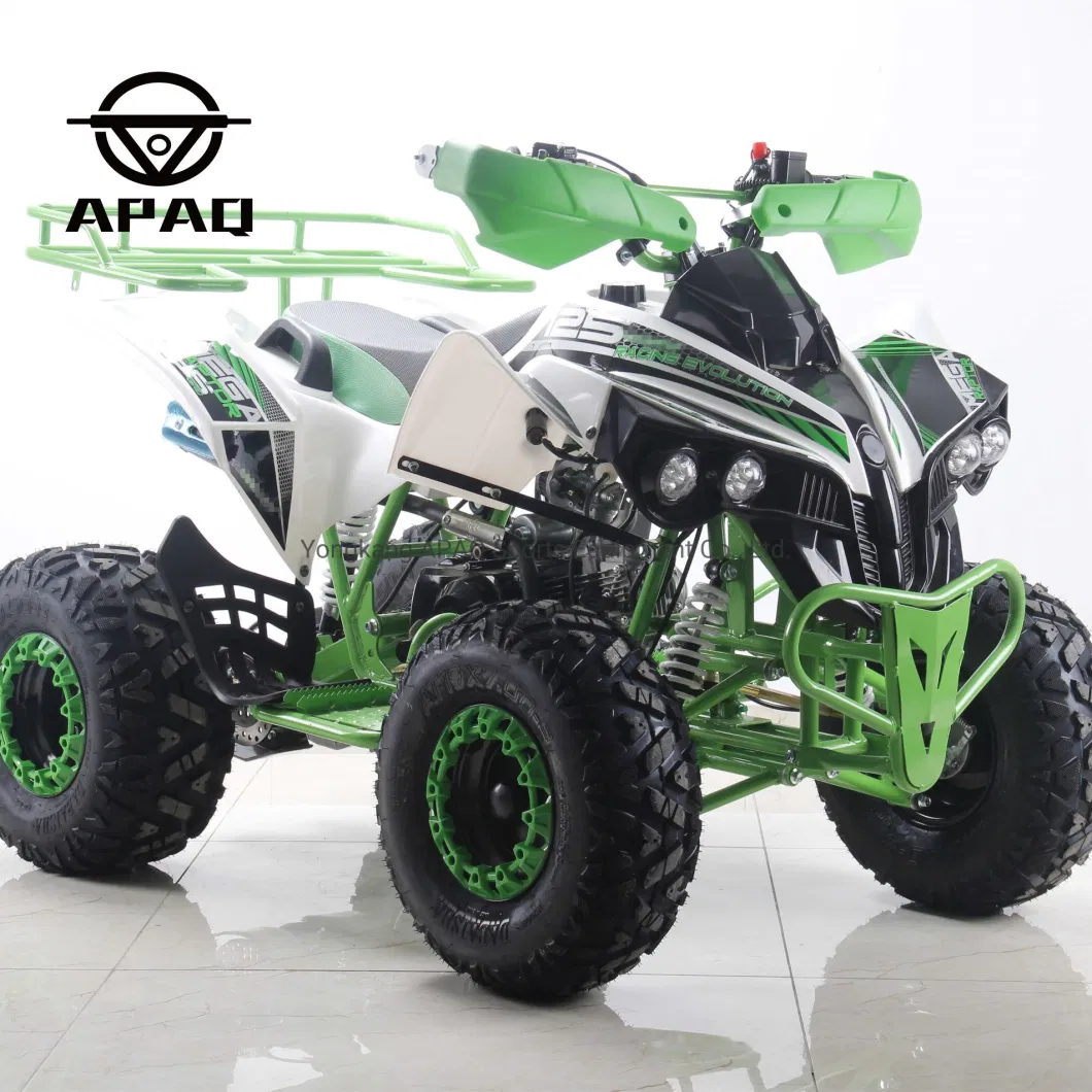 4 Wheel 125cc Quad Bike Cycle 110cc ATV for Sale