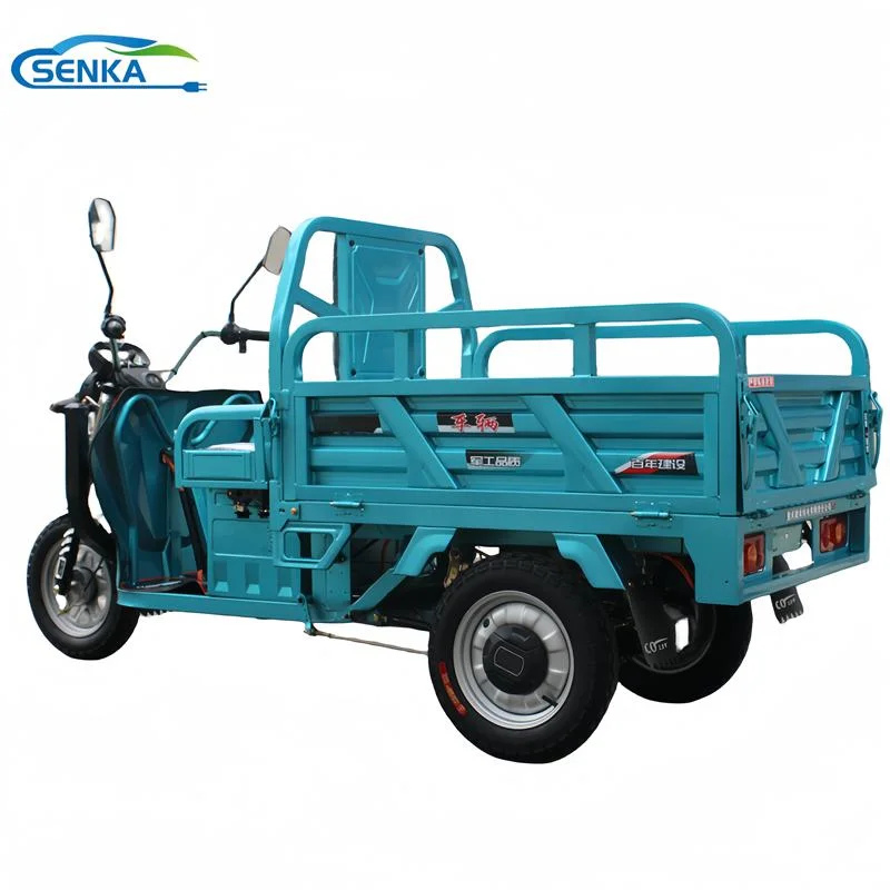 Senka Cheap Human Loader 3 Wheeled Motorcycle Agricultural Cargo Tricycle Motor Trike Electric Vehicle