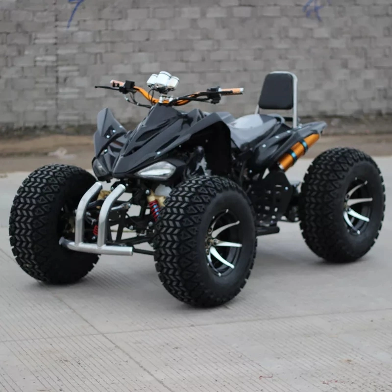 ATV Motorcycle 2WD Gasoline Adult UTV 150cc 200cc 250cc