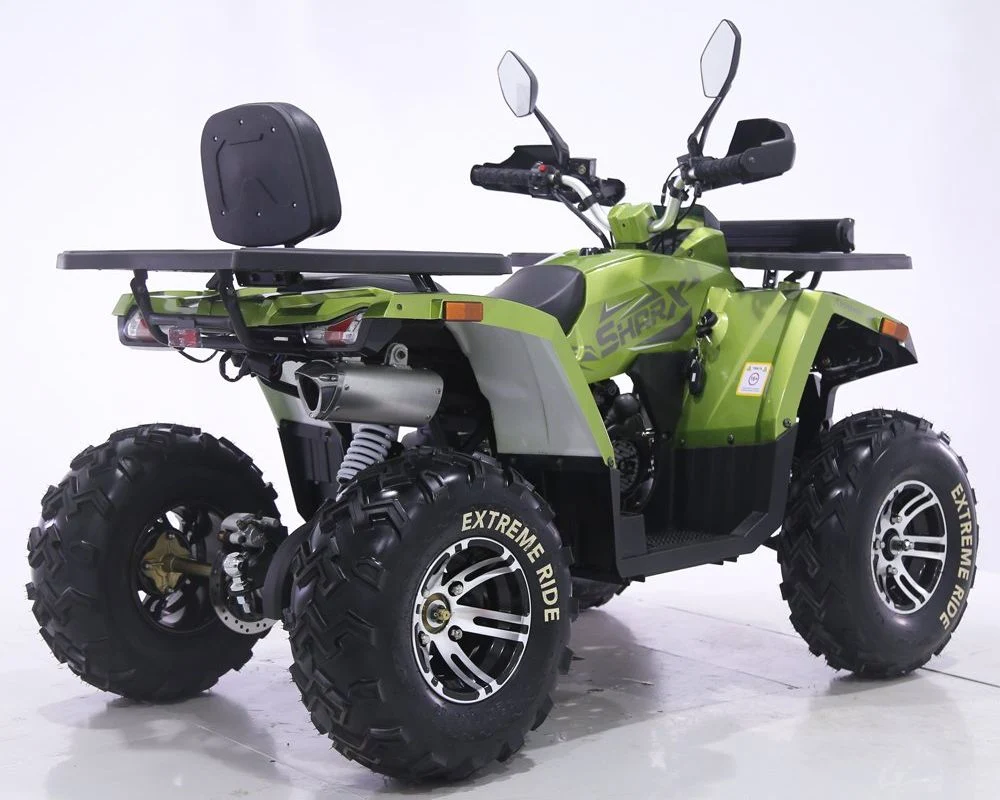 Tao Motor 2024 New Automatic Chain Drive Quad Bike 200cc 250cc ATV