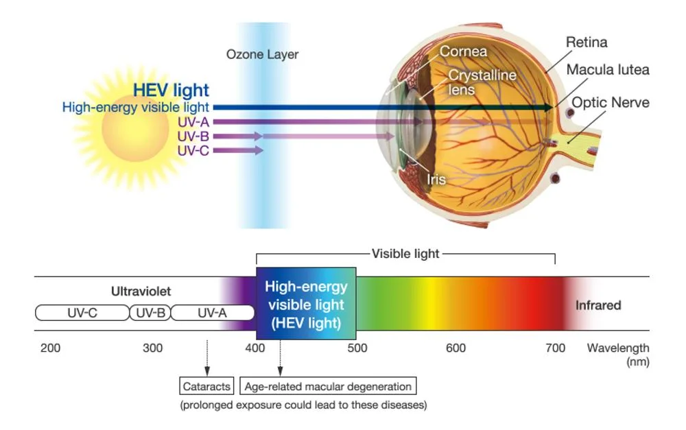 Wdo Lens 1.56 Super Hydrophobic Blue Light Cut Blue Green Coating Plastic Hmc Optical Lenses