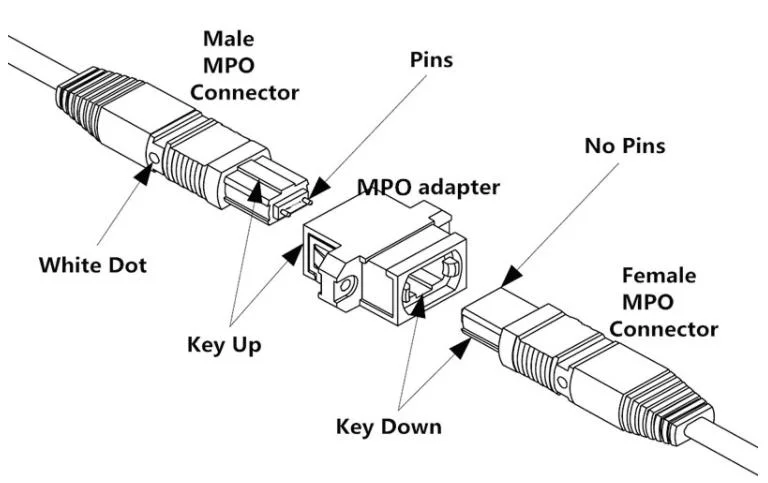 MPO to MPO MTP Single-Mode/Multi-Mode 4-48 Cores 0.9mm 2.0mm Fiber Optic Patch Cord Jumper Cable Om4 Om3 Us Conec MTP Connector