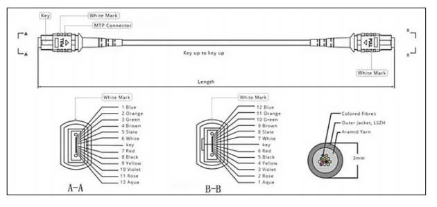 Custom Made Fiber MPO Patch Cord of MPO-MPO Series