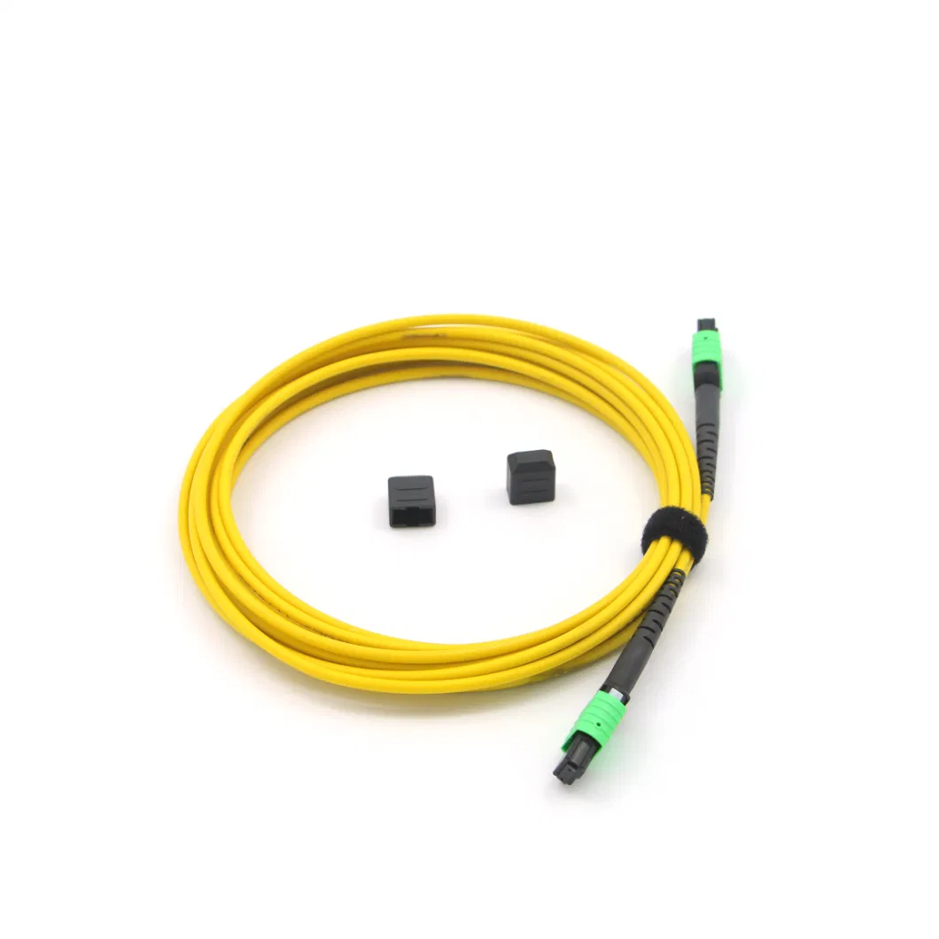 MPO-MPO Female Fiber Optic Terminal (12 core 8m)