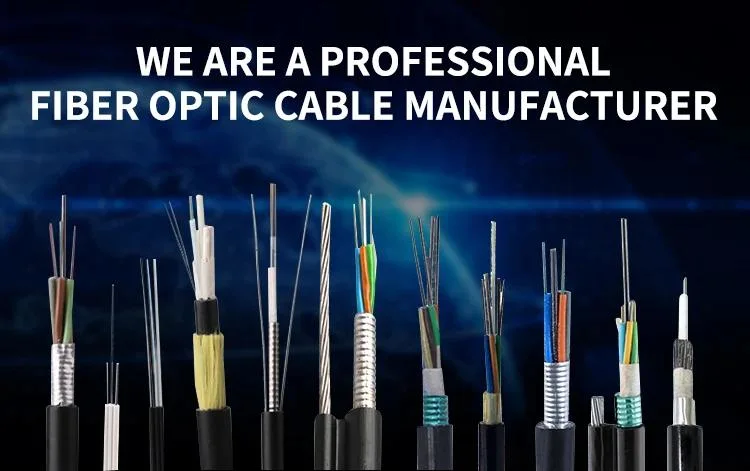 Gjxh Gjxch Gjyfxch 1, 2, 4, 6, 8, 12 Cores FTTH Flat Indoor/Outdoor Fiber Optic Cable Drop Cable