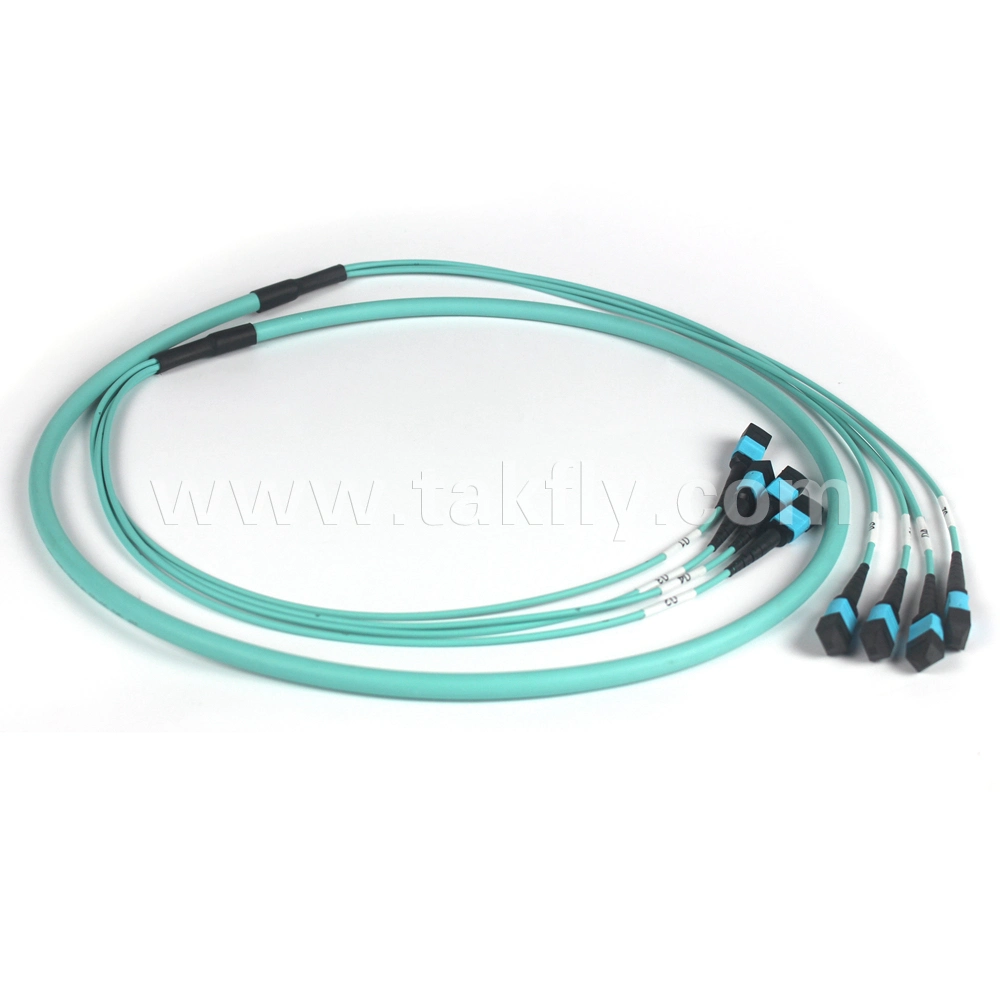 Custom Made Fiber MPO Patch Cord of MPO-MPO Series