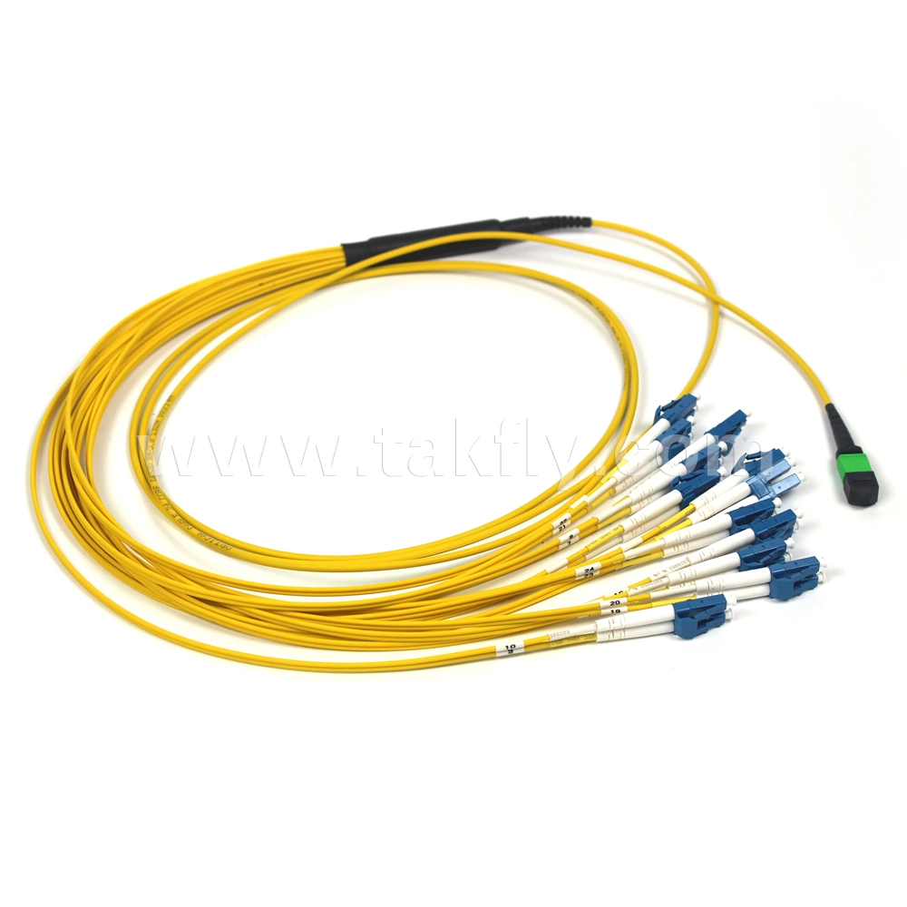 Custom Made Fiber MPO Patch Cord of MPO-MPO Series