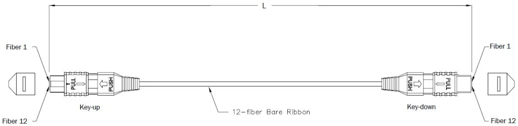 MPO Multimode Singlemode Fiber Optic Patch Cord