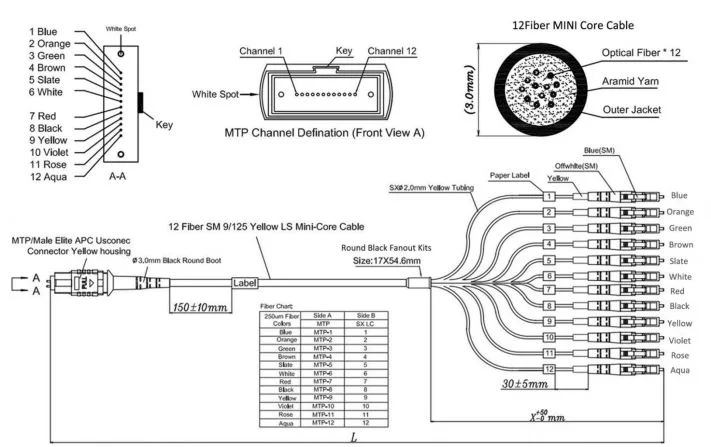 8/12/16/24/72/144fiber Sm/Om3/Om4 Qsfp 40g MPO MTP to 10g LC/Sc Breakout Cable Fiber Optic Patch Cord