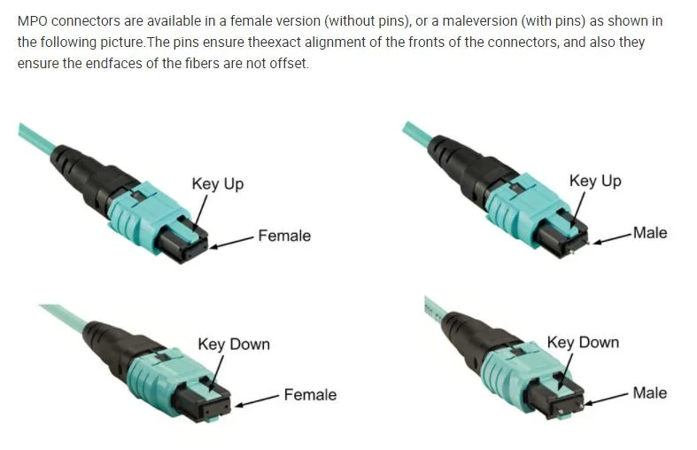 MPO to MPO MTP Single-Mode/Multi-Mode 4-48 Cores 0.9mm 2.0mm Fiber Optic Patch Cord Jumper Cable Om4 Om3 Us Conec MTP Connector