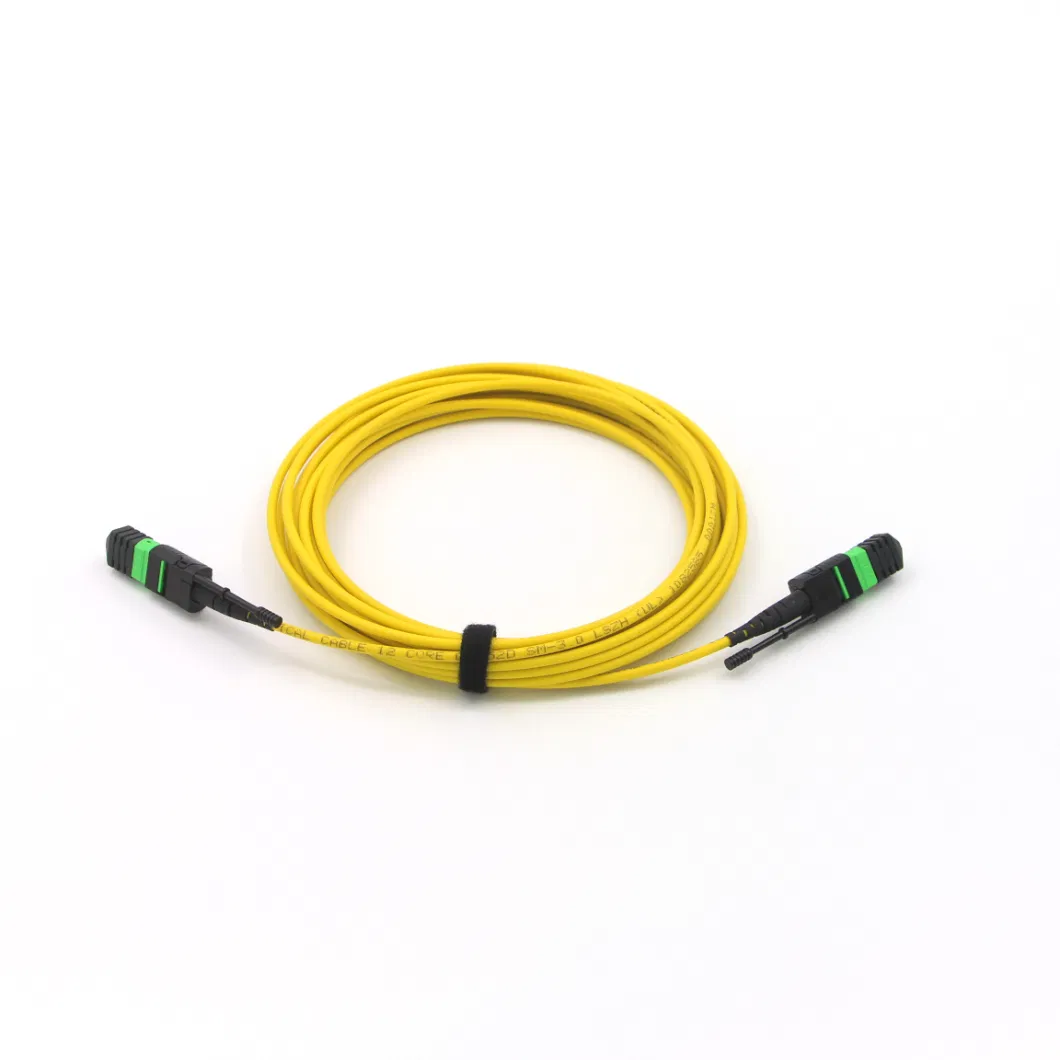 MPO-MPO Female Fiber Optic Terminal (12 core 8m)