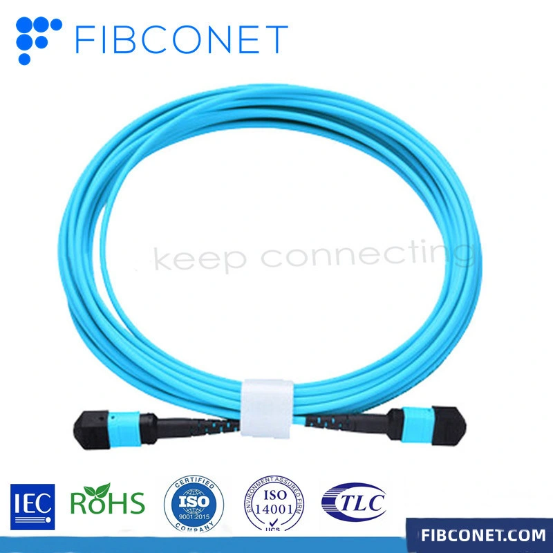 FTTH 12 Cores Assembly MPO-LC Duplex Optical Fiber Optic MPO Modular