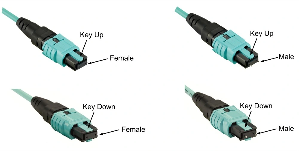 1 Meter MPO to LC Patch Cord Fanout Cable Multimode Om3 Om4