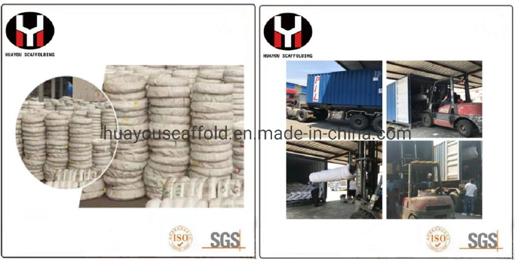 Scaffolding Gi Wire/Steel Wire Mesh/Galvanized Steel Wire for Construction