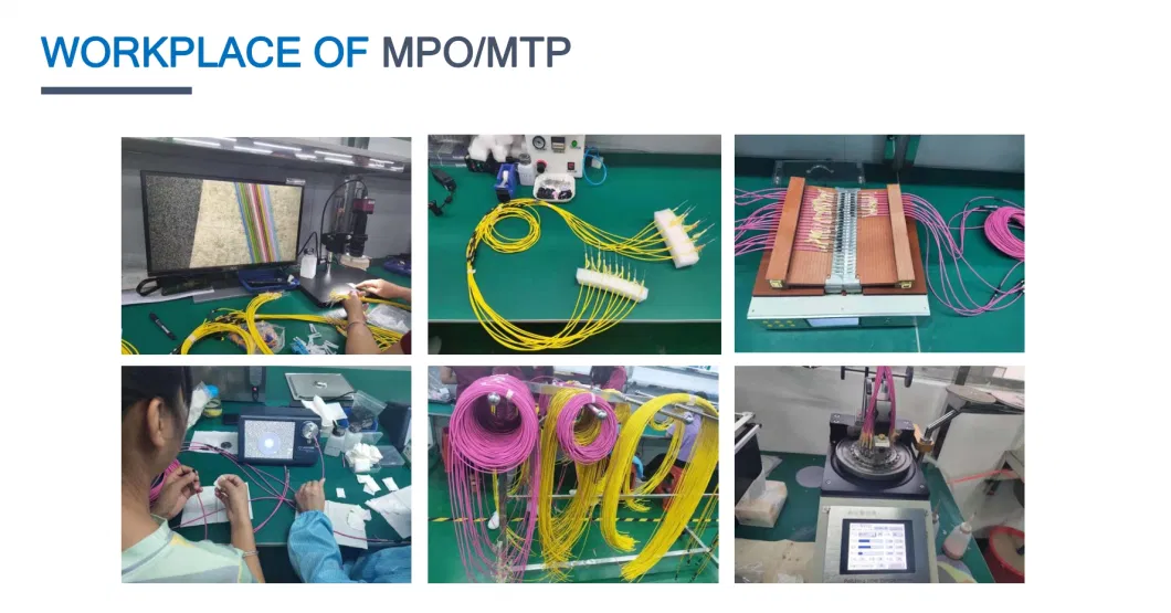 Fiber Optic Low Insertion Loss 8/12/24/48/96/144 Cores Om3/Om4 Trunk Cable MPO/MTP-LC Fanout Patch Cord