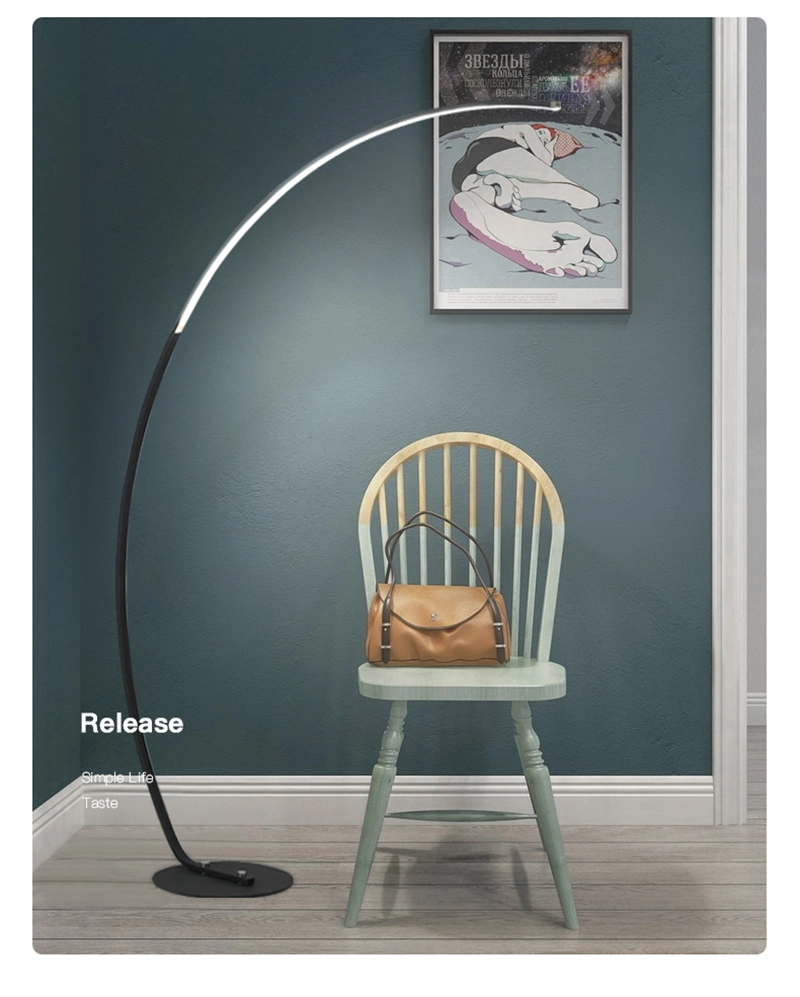 Nordic Arc Shape Floor Lamp Modern LED Dimmable Remote Control Arc Floor Lamp (WH-MFL-10)