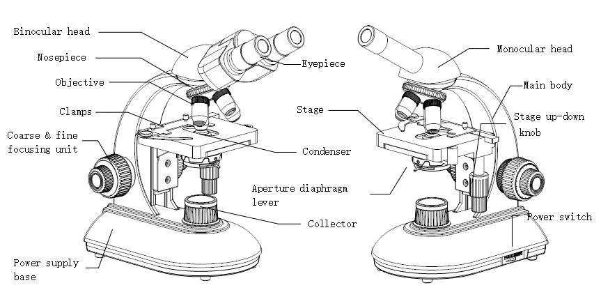 Manufacturers High Precision 40-2000X Laboratory Microscopio Optical Microscope