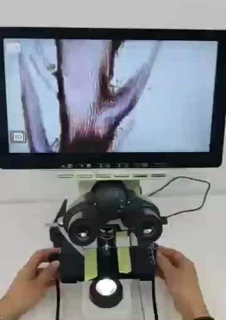 Hot Sale Finite Optical System Biological Digital 4K Binocular Laboratory Labomed Microscope