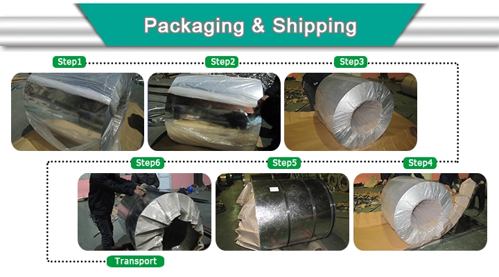 Hot Dipped Cold Rolled Strip Galvanized Steel Coil