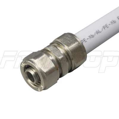 Brass Screw Fitting for Pex-Al-Pex Multilayer/Composite Pipes (PAP) for European Market-Equal Socket
