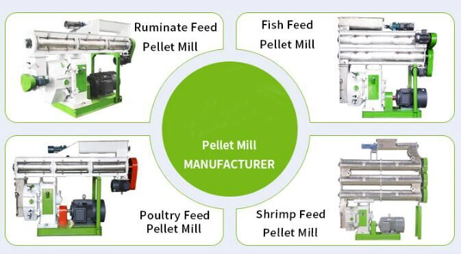 Good Performance and Low Price Ring Die Feed Pellet Mill for Sale Australia