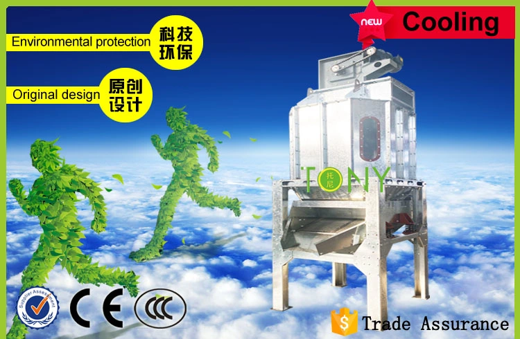 CE Approved Waste Wood Chips Pellet Press Machine Line