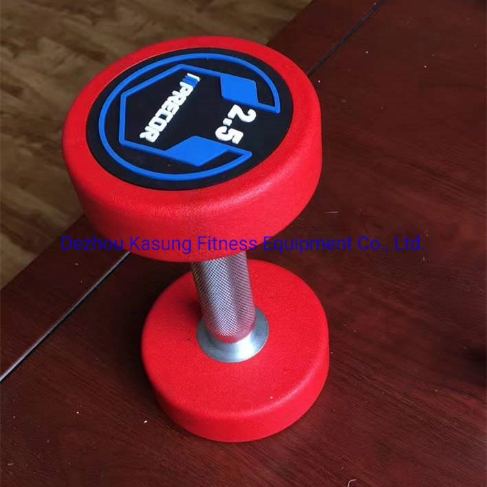 2022 Newest Stainless Steel Dumbbell for Steel Dumbbell