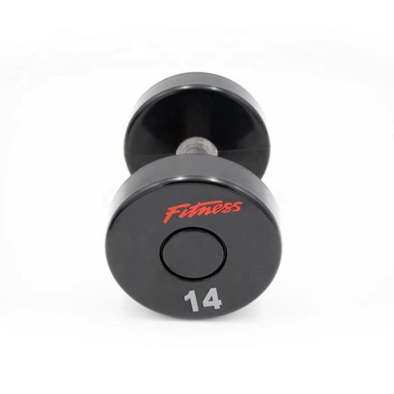 Gym Weight Lifting CPU Round Steel Dumbbells