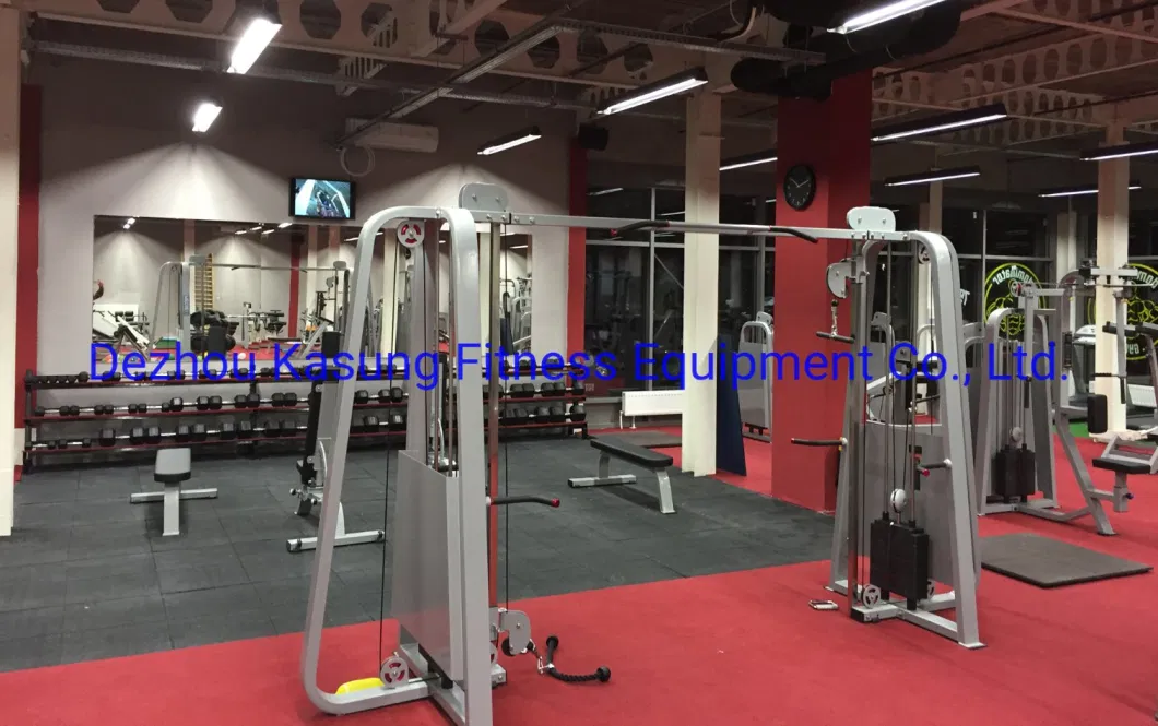 Famous Rogers Athletic Fitness Equipment Belt Squat for Fitness Center