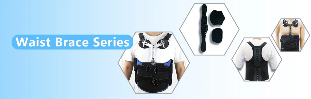 Factory Customized Breathable Medical Lower Pain Relief Support Back Brace Adjustable Waist Back Brace Lumbar Support Belt