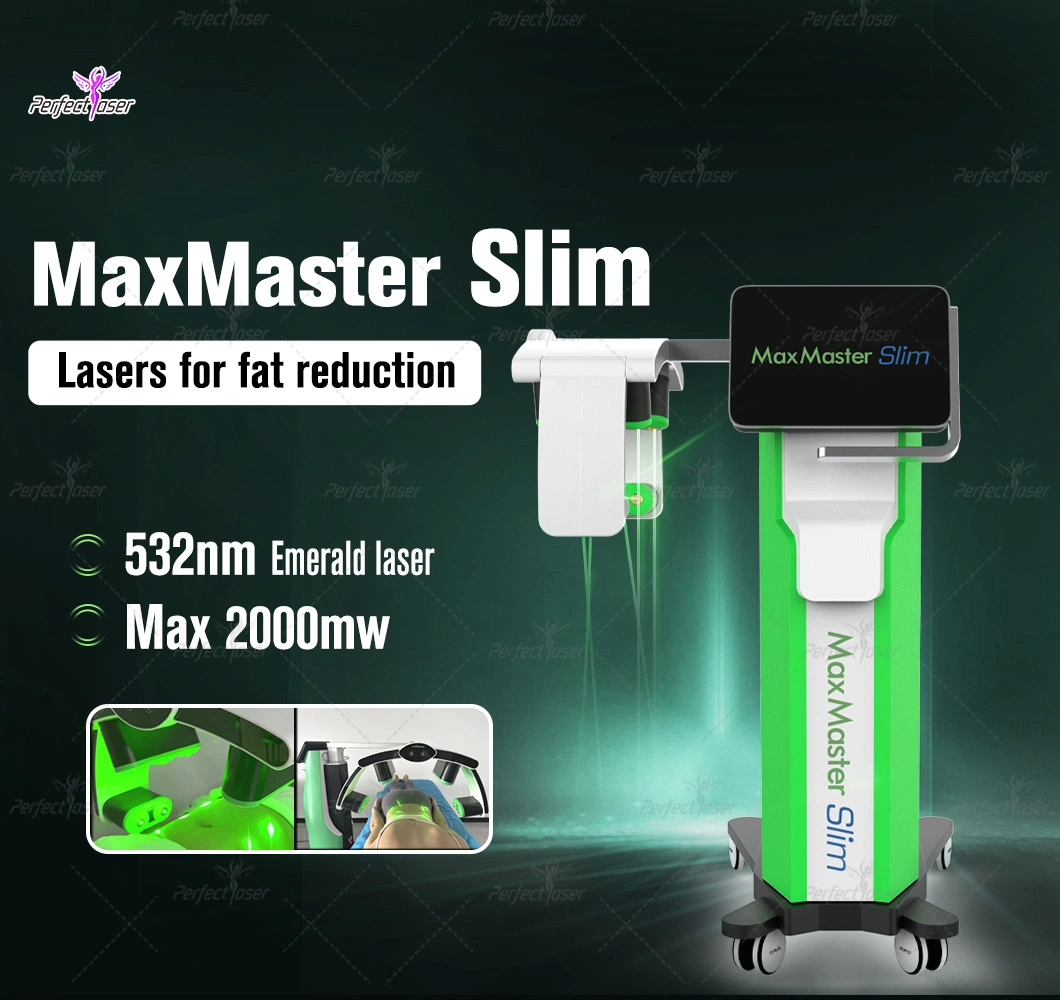 10d Lipo Slimming Lumbar Fat Weight Loss Beauty Machine