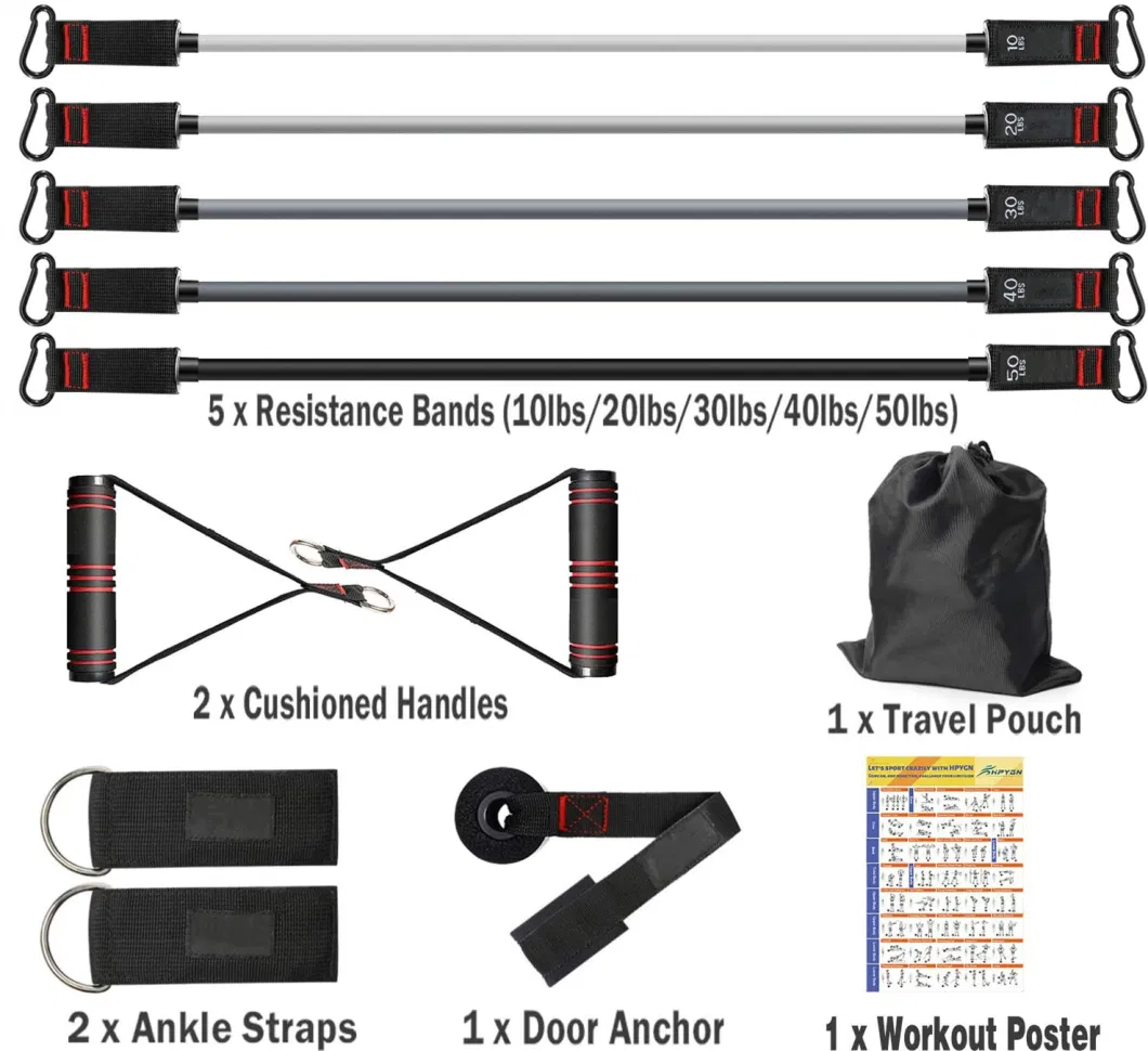 5 Levels Resistance Bands with Handles Workout