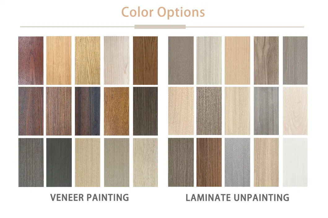 Modern Entrance Pivot Main Gate Front Door Exterior Doors in Wood Pivot Door